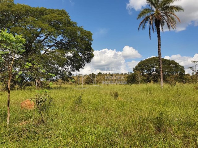 Fazenda_Venda