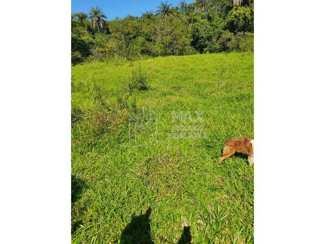 Fazenda_Venda