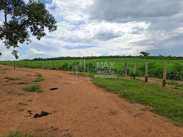 Fazenda_Venda