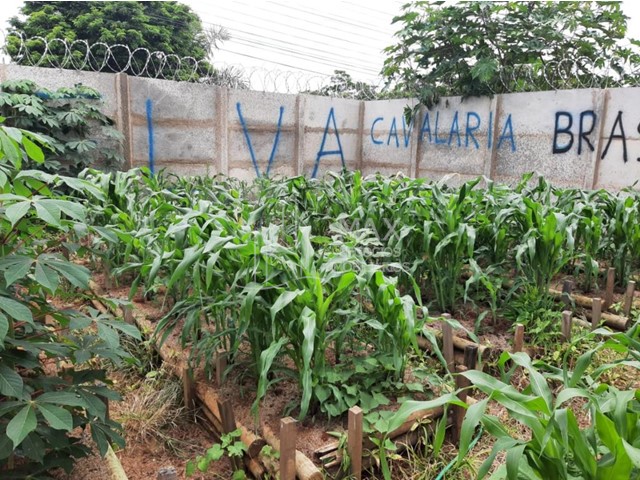 Chácara_Venda