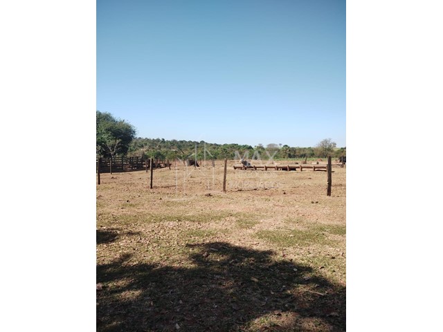 Fazenda_Venda