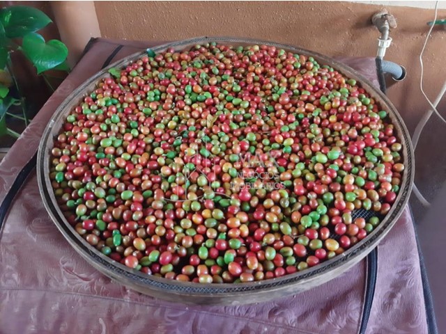 Chácara_Venda