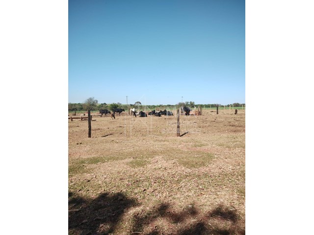 Fazenda_Venda